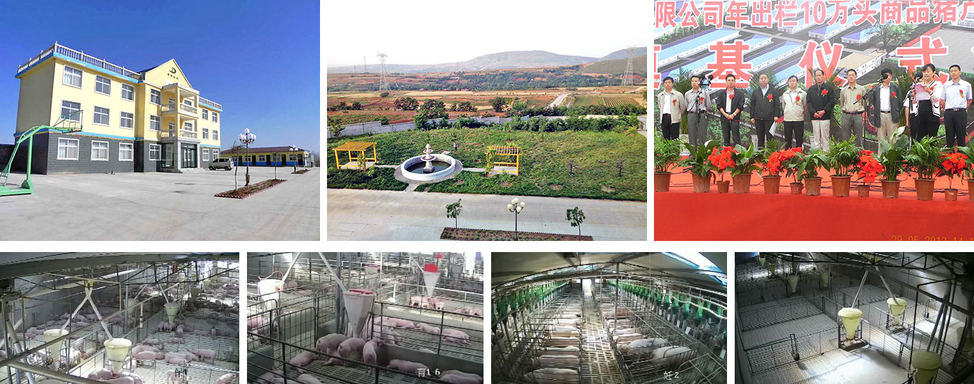 養(yǎng)殖板塊